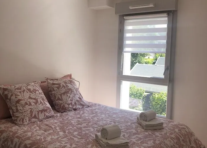 アパート T2 48 M2 Le Cliper B Proche Du Lac, 1 Garage Terrasse *